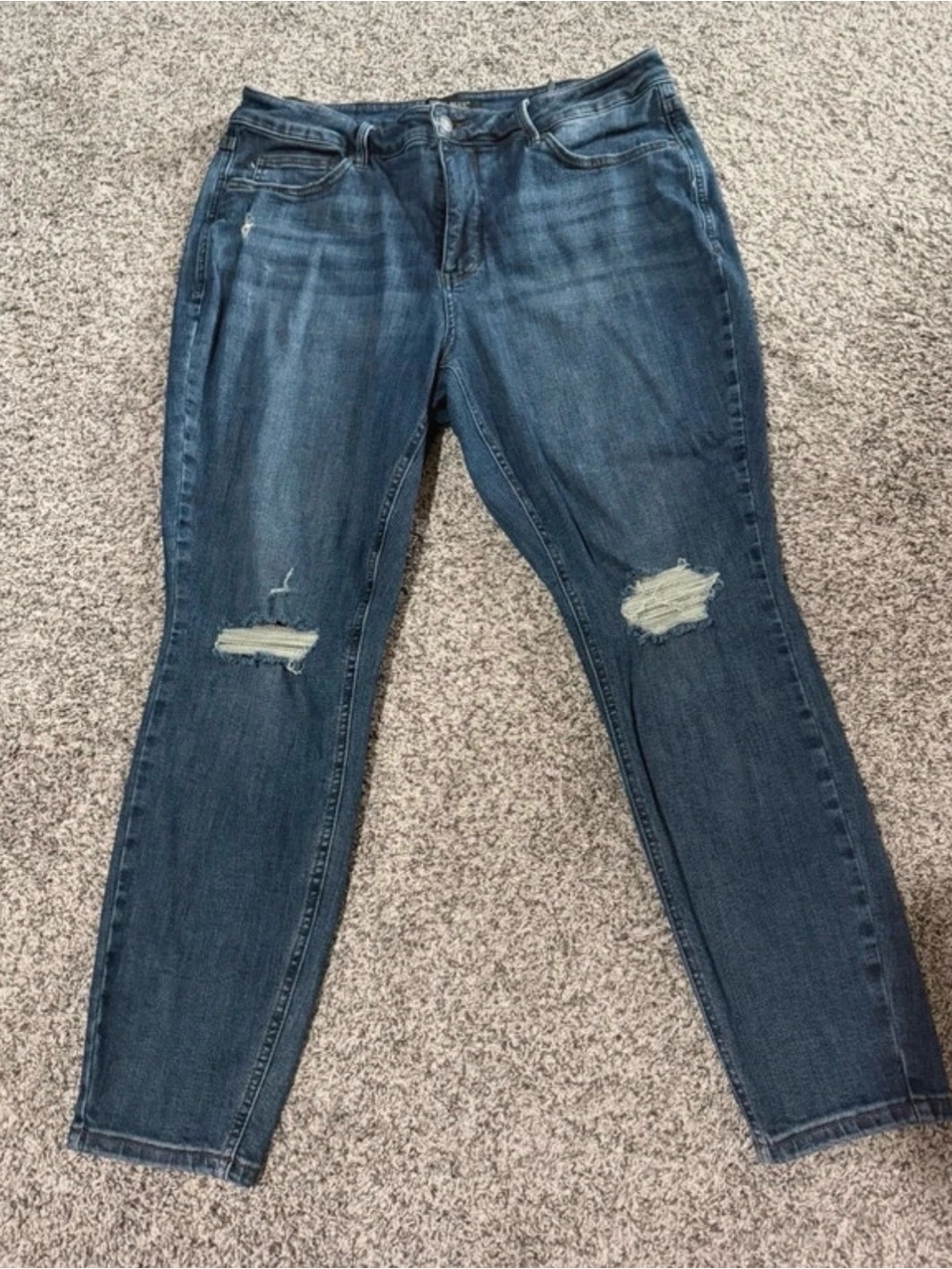 Judy Blue 18W Women's Distressed Blue Skinny Jeans